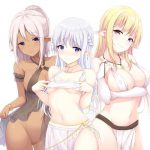 ファンタジー世界の女剣士や魔法使いがよく着てる服の『お股の前とか後とか隠してる布』コレ、エロすぎなんなん…？